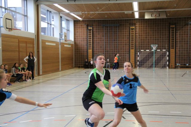 2017_02_19 Landesliga Frauen und Jugend 19